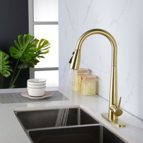 Kitchen Faucet With Pull-down Spray (Color: Gold)